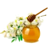 acacia honey