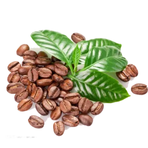 coffee seeds